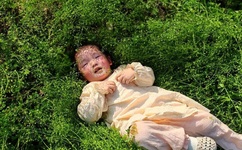 荡翁浪媳在公车上做